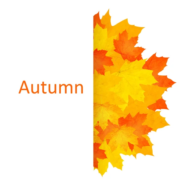 Autumn background. — Stock Photo, Image