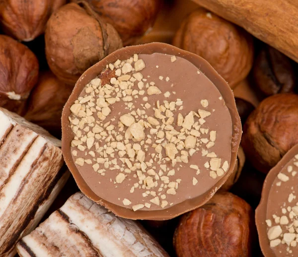 Closeup of coffee beans, cinnamon and nuts — Stock Photo, Image