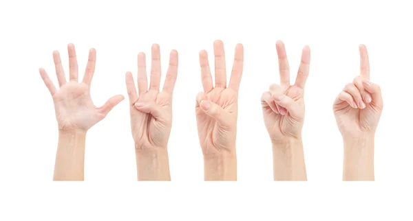 Counting woman hands (1 to 5) isolated on white background — Stock Photo, Image