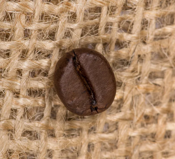Кофейная фасоль — стоковое фото