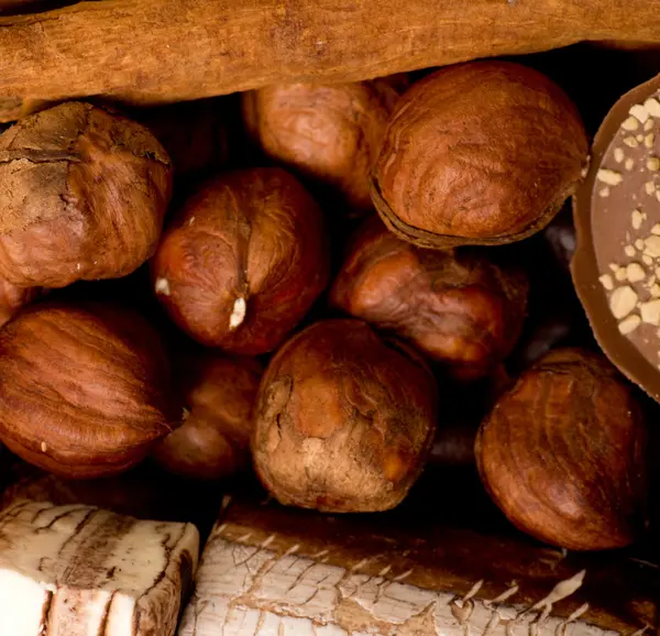 Coffee beans, cinnamon and nuts — Stock Photo, Image