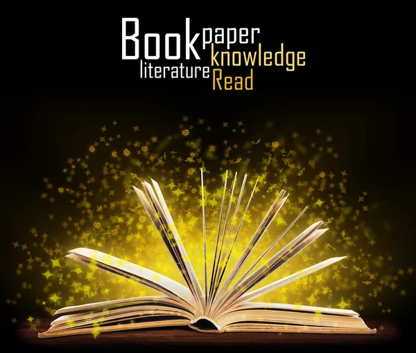 Книжка. Відкрита книга з особливим світлом. Освіта — стокове фото