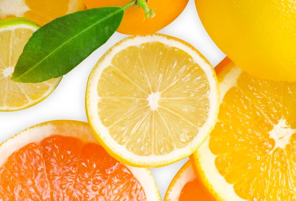 混合的柑橘切片 — 图库照片