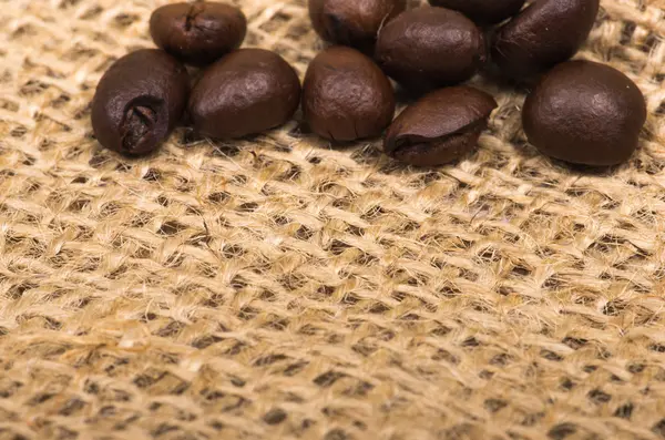 Coffee beans — Stock Photo, Image