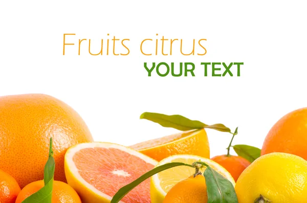 Fruit citrus — Stockfoto