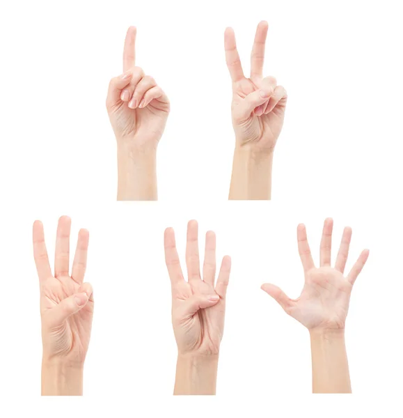 Frauenhände (1 bis 5) isoliert auf weißem Hintergrund zählen — Stockfoto