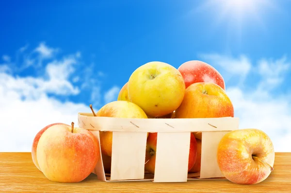 Frische und bunte Äpfel im Korb — Stockfoto