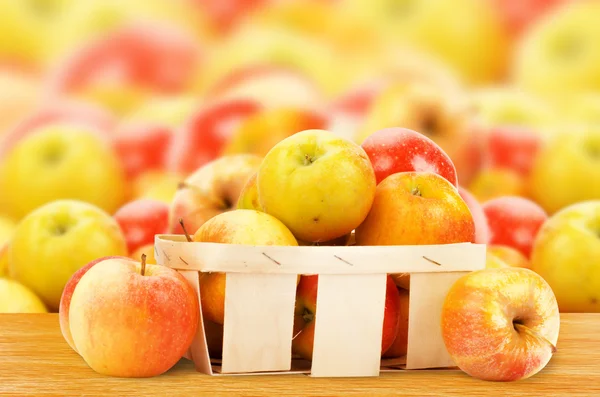 Pommes fraîches et colorées dans le panier — Photo