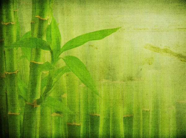 Гранж бамбук фону — стокове фото