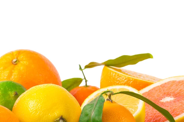 柑橘類の果物 — ストック写真