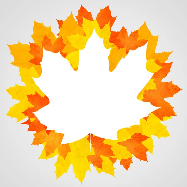 Maple leaves background with space for text — Stock Photo, Image