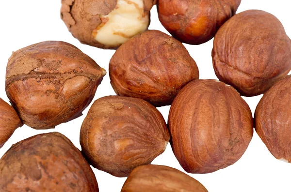 Hazelnut diisolasi pada latar belakang putih — Stok Foto