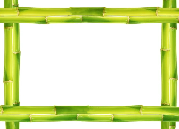 Bamboo frame made of stems — Stock Photo, Image