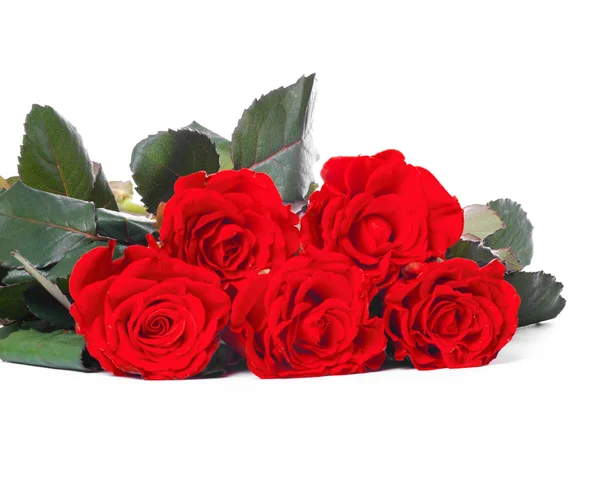 Bouquet of red roses — Stock Photo, Image