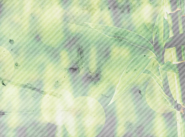 Grunge bamboo background — Stock Photo, Image