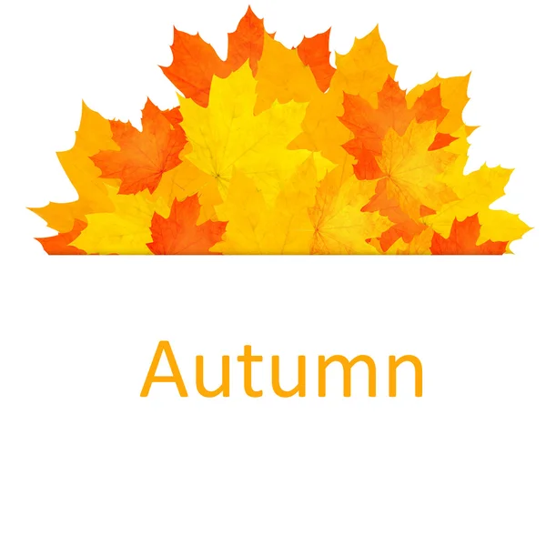 Autumn background. — Stock Photo, Image