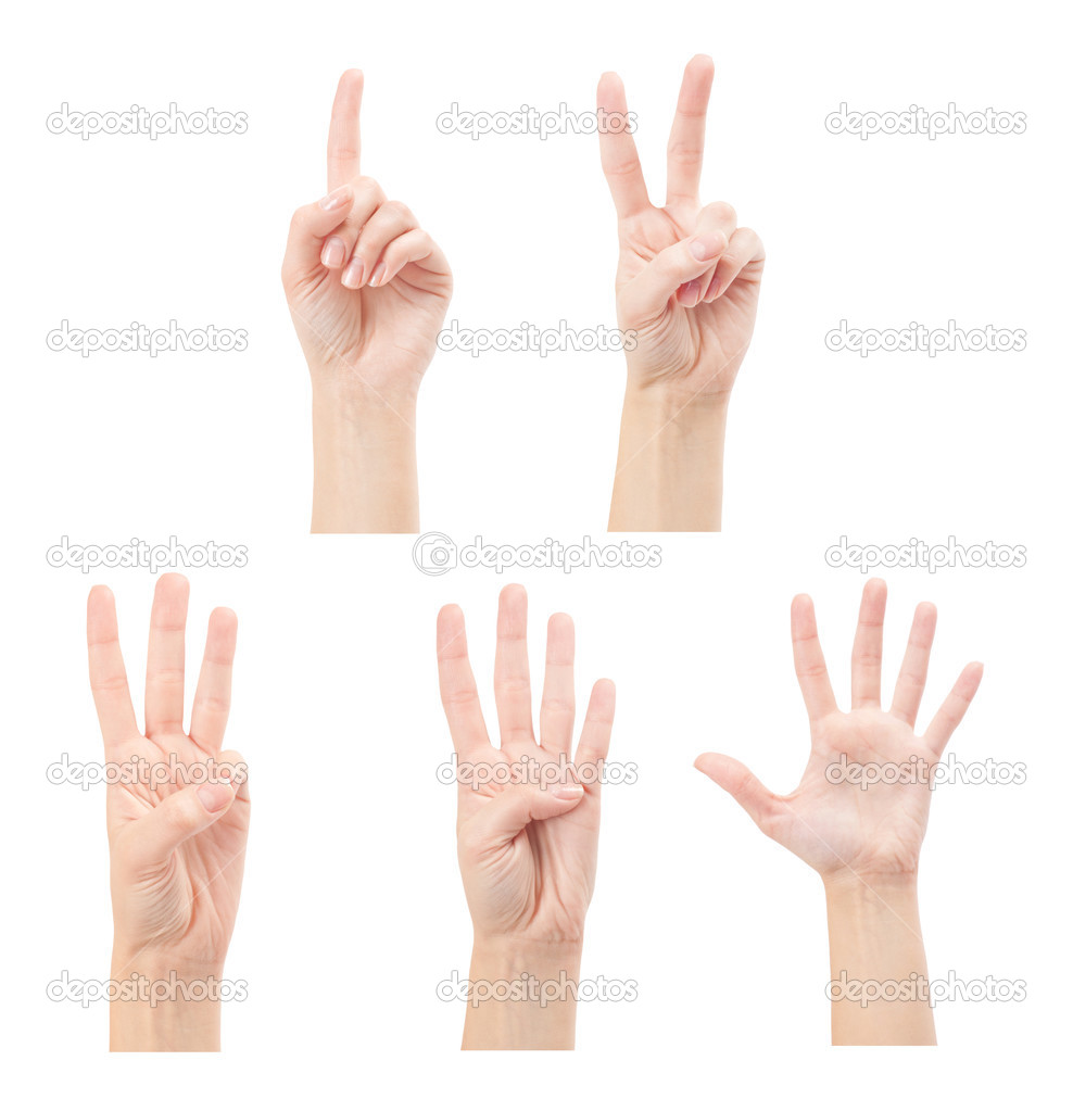 Counting woman hands (1 to 5) isolated on white background