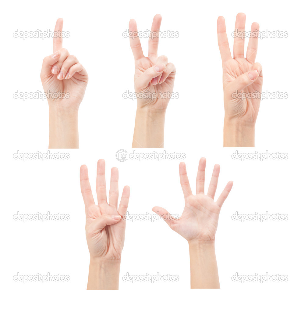 Counting woman hands (1 to 5) isolated on white background