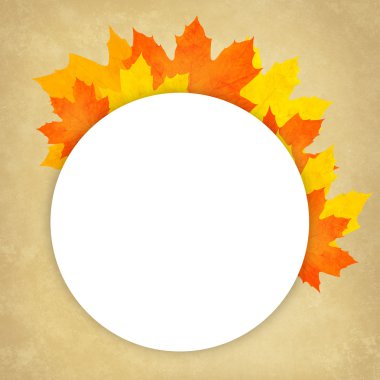 sonbahar yaprak. yüksek kalite.