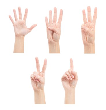 Beyaz arka plan üzerinde izole kadın eller (1-5) sayma