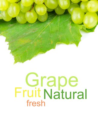 beyaz arkaplanda beyaz üzüm