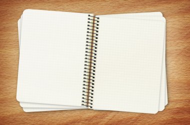 dizüstü bilgisayar