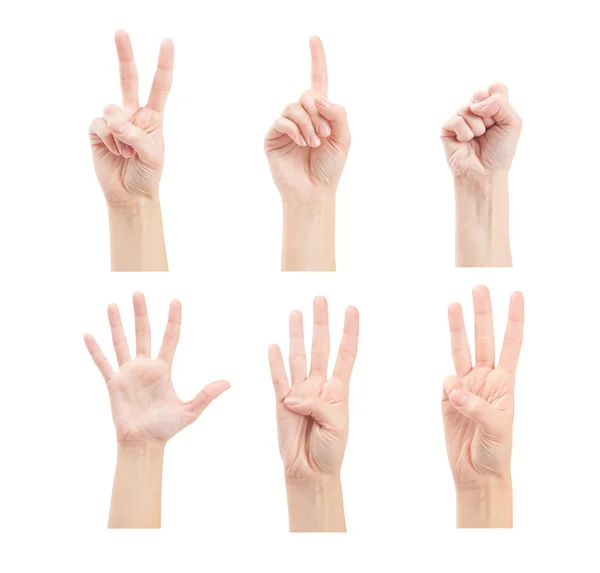 Contando as mãos da mulher (0 a 5) isolado em fundo branco — Fotografia de Stock