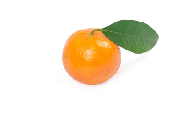 Mandarins isolated on white background — Stock Photo, Image