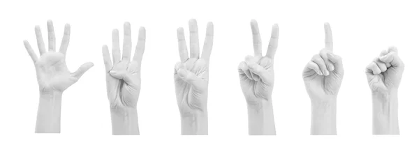 Beyaz arka plan üzerinde izole kadın eller (1-4) sayma — Stok fotoğraf