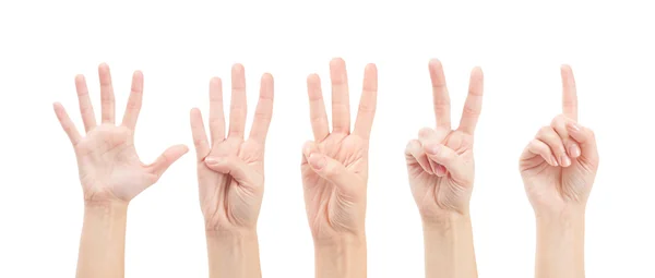 Counting woman hands (1 to 5) isolated on white background — Stock Photo, Image