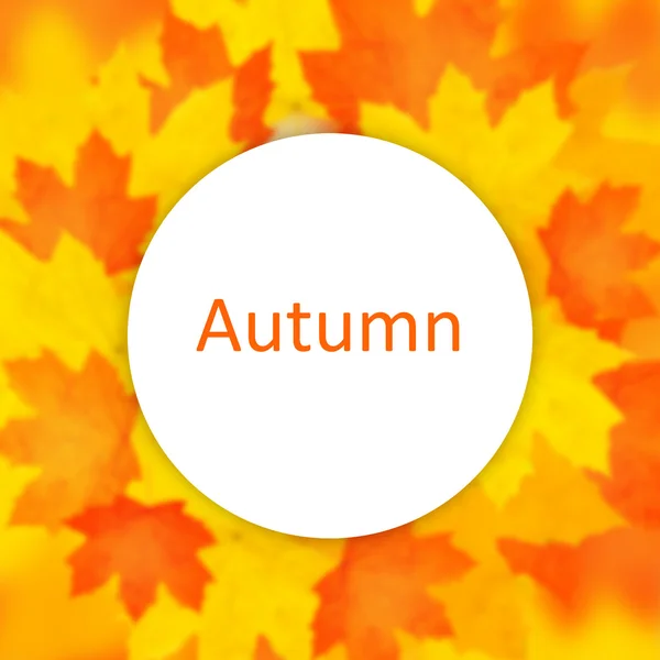 Autumn background. — Stock Photo, Image