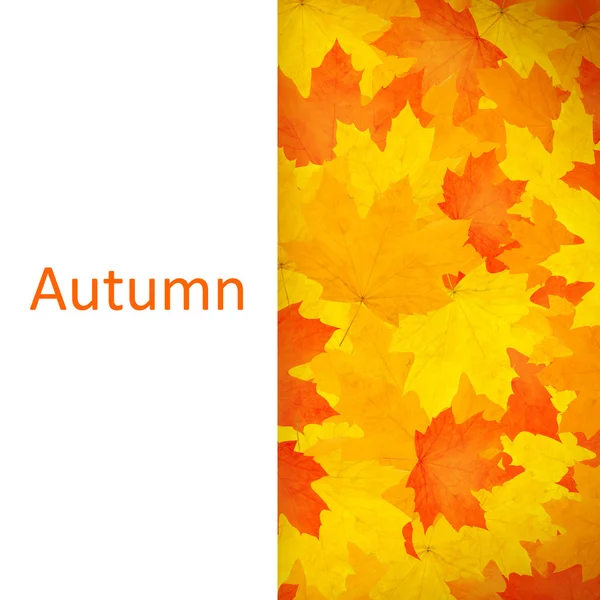 Autumn background. — Stock Photo, Image