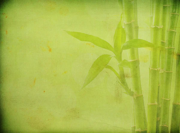 Latar Belakang Bambu Grunge — Stok Foto