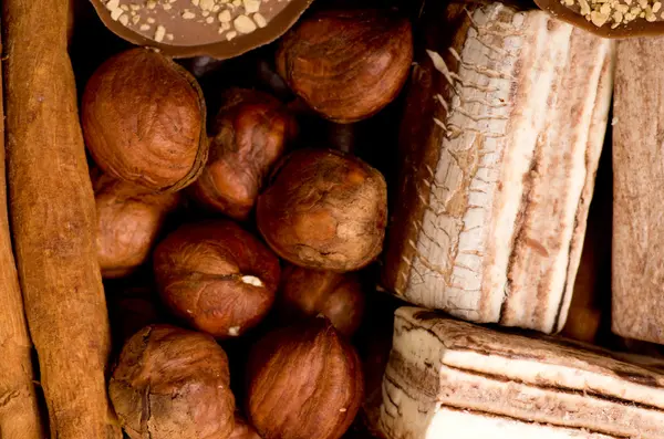 Kaffebönor, kanel och nötter — Stockfoto