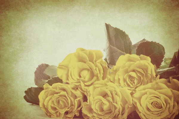 Ročníkové květiny — Stock fotografie