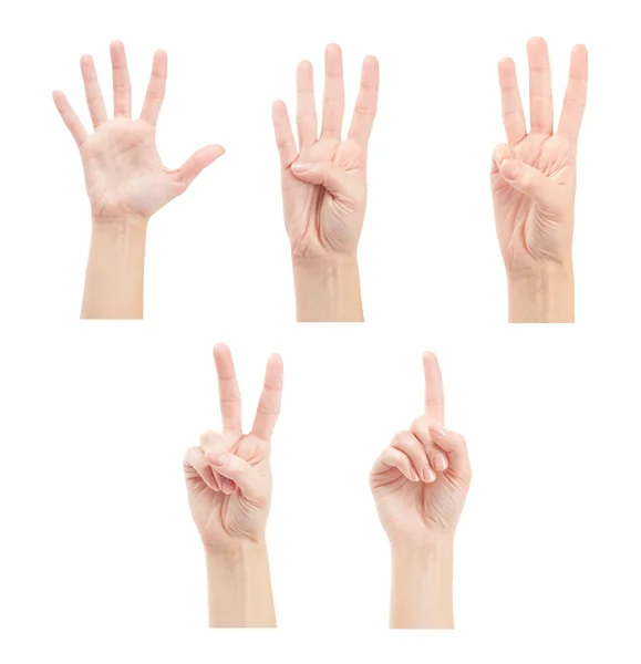 Counting woman hands (1 to 5) isolated on white background — Stock Photo, Image