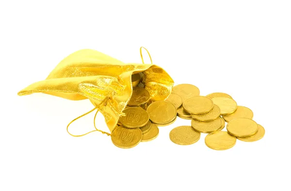 Geld munten in gouden zak geïsoleerd op wit — Stockfoto