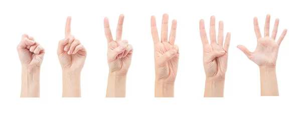 Beyaz arka plan üzerinde izole kadın eller (1-4) sayma — Stok fotoğraf