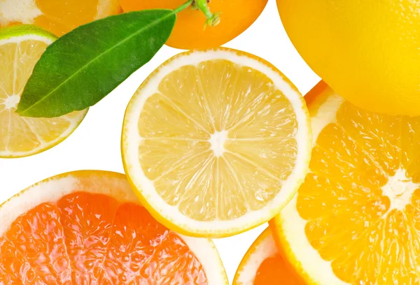 Mix citrusové řezy — Stock fotografie