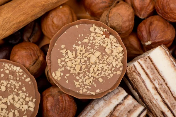 Closeup of coffee beans, cinnamon and nuts — Stock Photo, Image