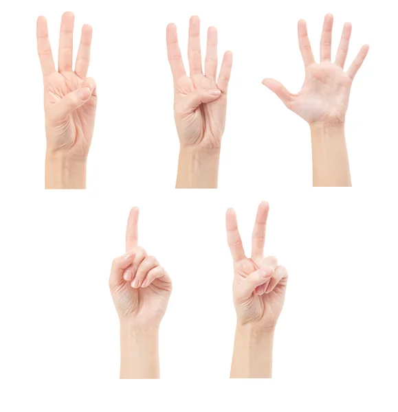 Counting woman hands (1 to 5) isolated on white background — Stock Photo, Image