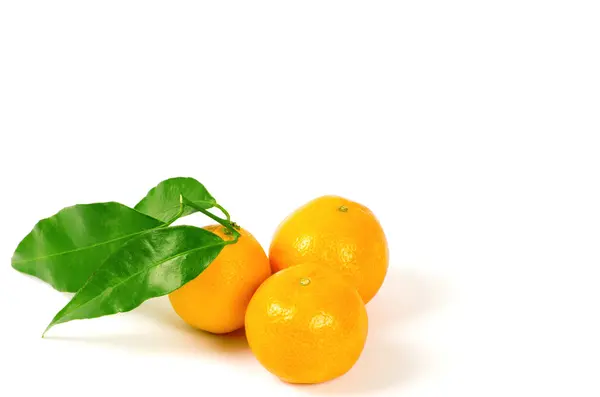 Tangerines with green leaves isolated on white — Stock Photo, Image