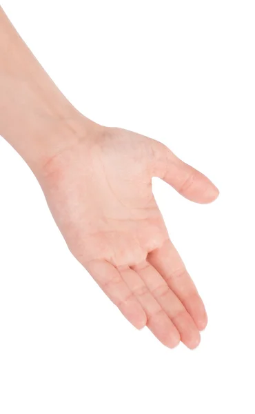 Vazio mão mulher aberta — Fotografia de Stock