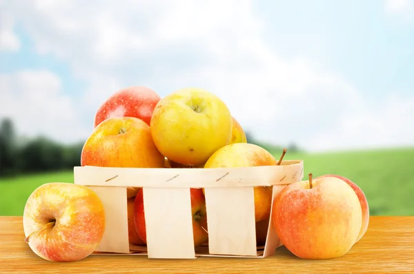 Frische und bunte Äpfel im Korb — Stockfoto