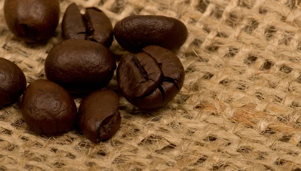 Coffee beans on sack(burlap) — Stock Photo, Image