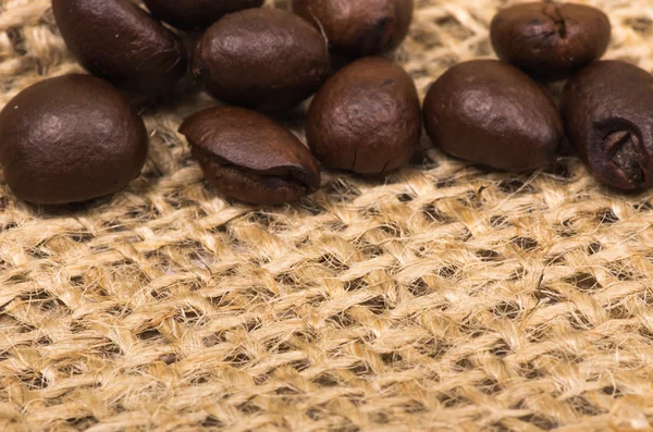 Coffee beans — Stock Photo, Image