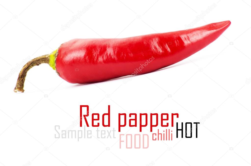 Red hot chilli pepper on white