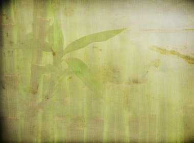 Grunge bambu arka plan