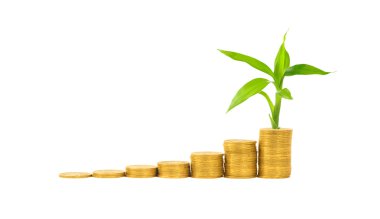 Altın sikkeler ve bitkiler beyaza izole edilmiş.