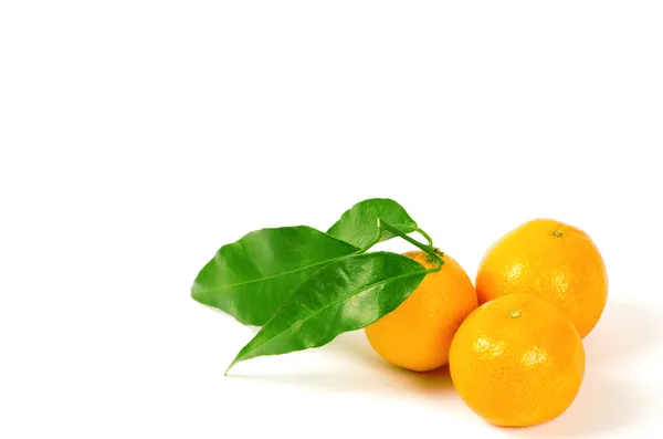 Tangerines with green leaves isolated on white — Stock Photo, Image